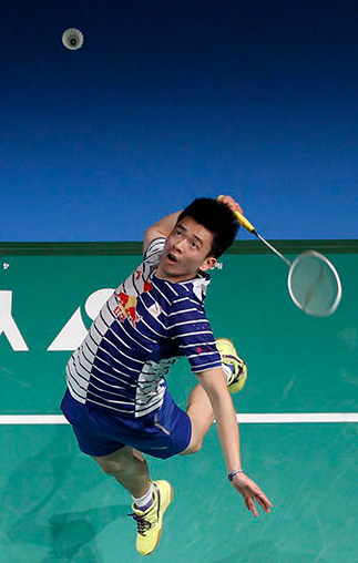 法国队绝杀丹麦队，郑思维关键制胜的简单介绍